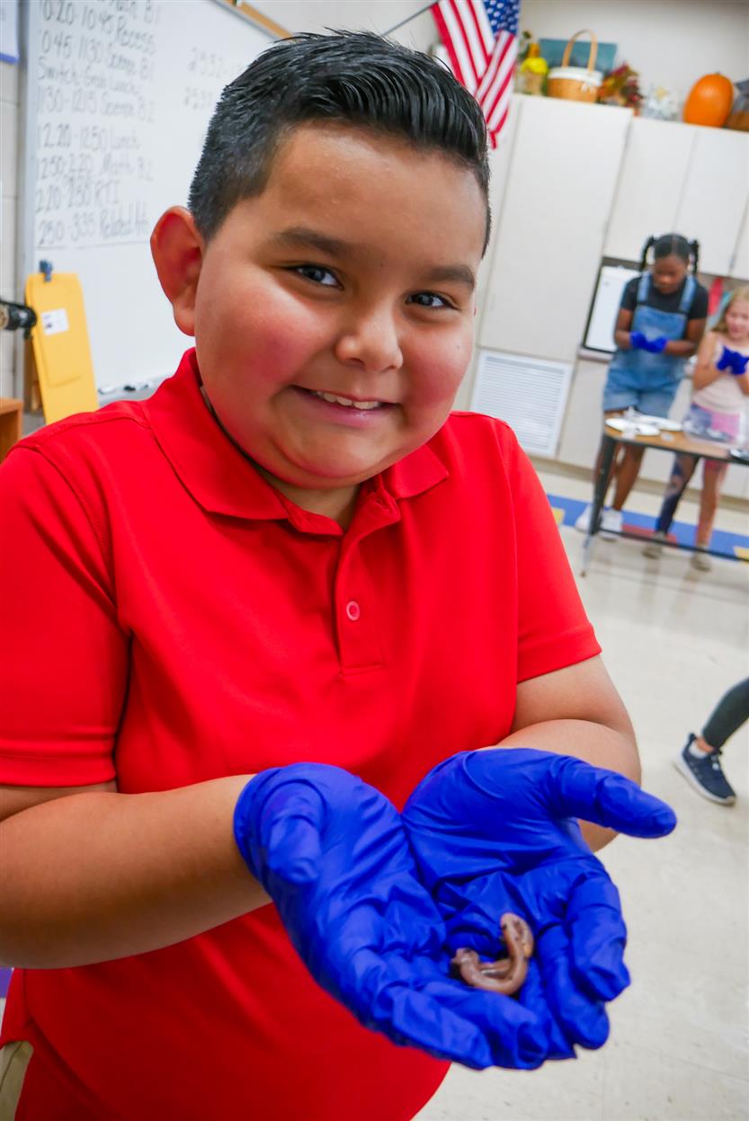 Students study earthworms in class
